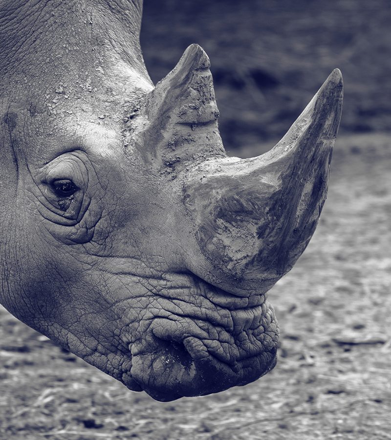 Placeholder_800x1250-e1611299776559-800x900